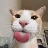 tranhxayeuduong