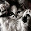 we_you3