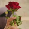 hassanh7087