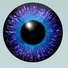 user1787366069281mteiki