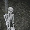 morto_vivo_