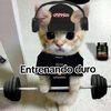 leonel.abanto85