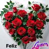 angy11150