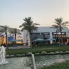 oxlli_77