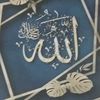 bakhita.saeed.oma