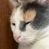 heylikes899