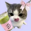 wnieeblubblub