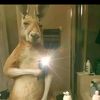 danielalexander2962