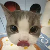 nttt_..1