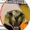 ninja11_rb