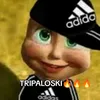 000tripaloski000