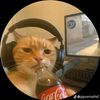 mannz937