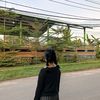 widyy75