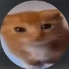 tiktok_ghost2000