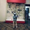 mania_1234