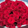 user4782067751354