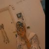 hana.khaled28