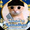 afzalmurtaza945