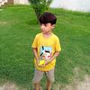 absaraizal