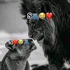 sapiriinaa0m