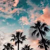 nina.aurel4