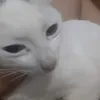 .klj200