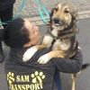 sam.transport3