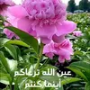 user371915700049