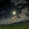 agung120421