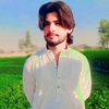 naveedrajpoot658