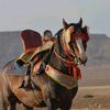 04mohamd04