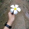 nyein.chanoo82