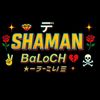 shaman.ali.ali01