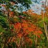 kyaw03345