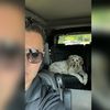 rocco.daniel