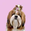 Jade Shihtzu