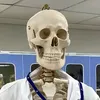 neebymozgi