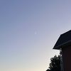 niknikto06