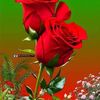 user3803378351285