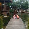 www.tiktok.comslp