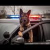 police.pov1