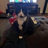 tracy18manningfan