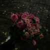 almatyalmaty6945