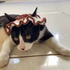 lua_frajolinha