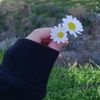 🦋 ⃝ 🇬 🇦 🇲 🇿 🇪 🇱 İ🦋 ⃝