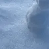 ajttgajttm