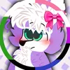 alex_husky.pl