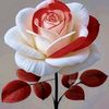 .user3366163141146