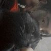 gianna.giono1