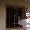 user2911542452333